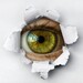 Daniel Freund: Abgeordneter vor EU-Wahl mit Spyware angegriffen