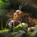 Empire of the Ants: Insekten-Echtzeitstrategie in der Unreal Engine 5 ausprobiert