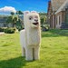 Minecraft: Kinofilm über Steve, Klötzchen & Lamas startet im April 2025