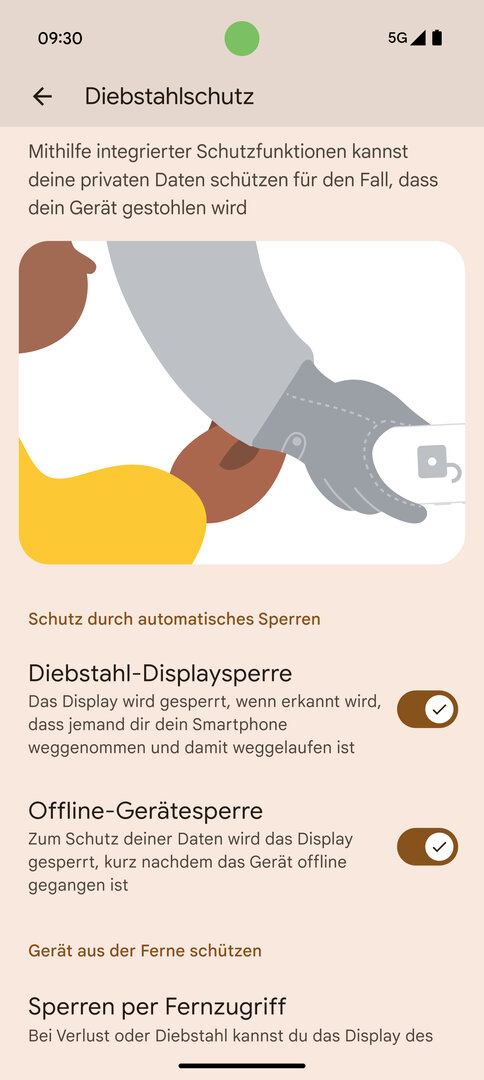 Diebstahlschutz