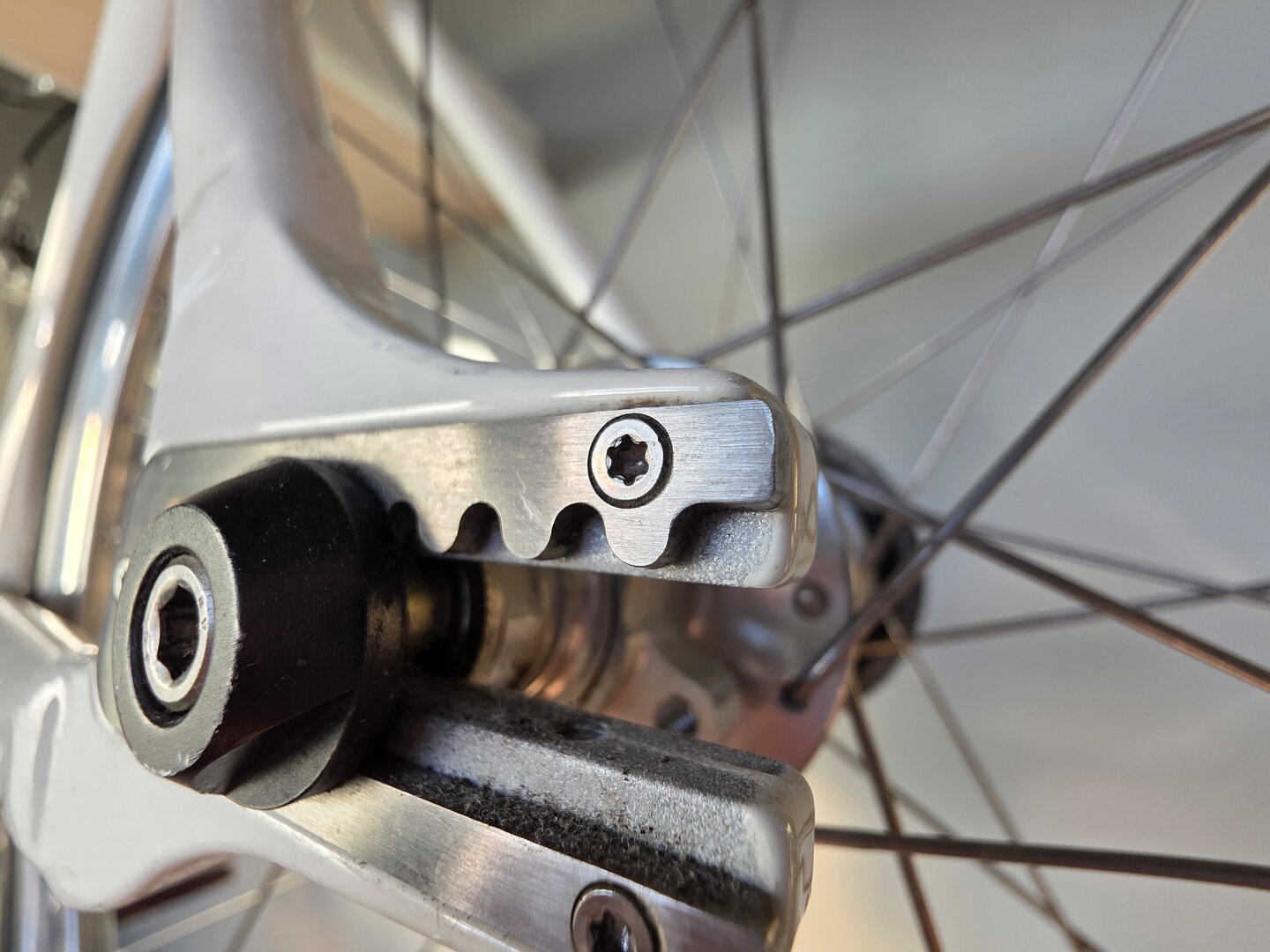 Galaxy S25 Ultra – Ultraweitwinkel (f/1.9, ISO 40, 1/142 s)