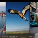 OpenAIs KI-Videogenerator: Sora für ChatGPT Plus und Pro in der EU verfügbar
