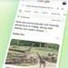 AI Mode für die Google-Suche: Google nähert sich Perplexity und ChatGPT Search an