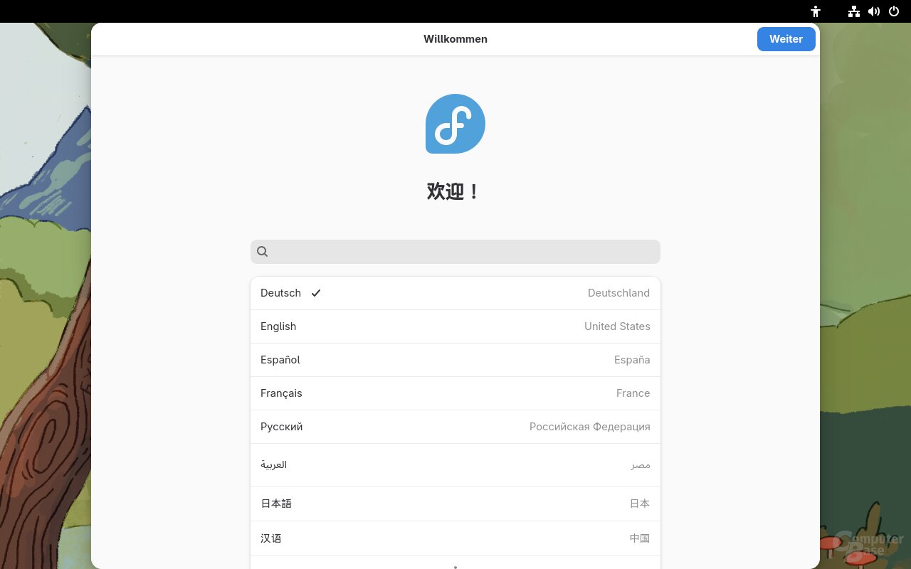 Sprachauswahl nach dem ersten Neustart.