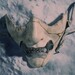 Ghost of Yōtei: Samurai-Abenteuer erscheint im Herbst auf der PS5