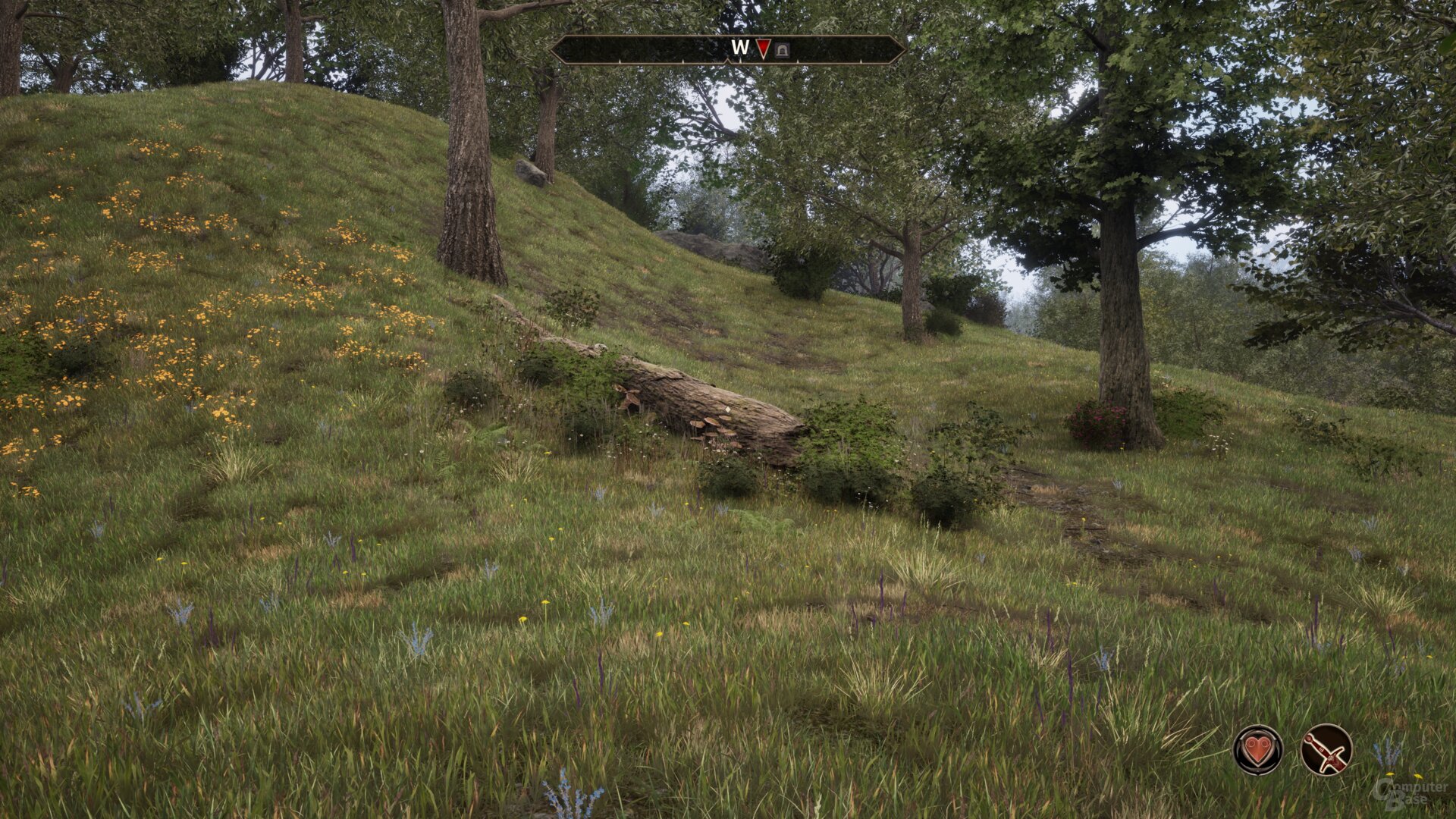 The Elder Scrolls IV: Oblivion Remastered im Benchmark-Test