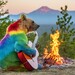 Ab 17. Juni: Adobe macht Creative Cloud teurer und streicht KI-Credits
