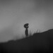 Gratis-Spiele: Epic verschenkt Limbo und Tiny Tina's Wonderlands