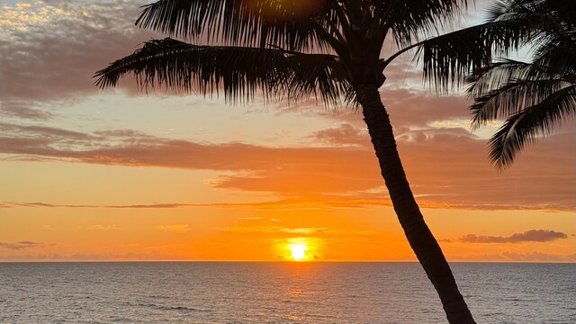 Travel eSIM: Vodafone startet Reise-Platt­form für Daten-eSIM-Angebote