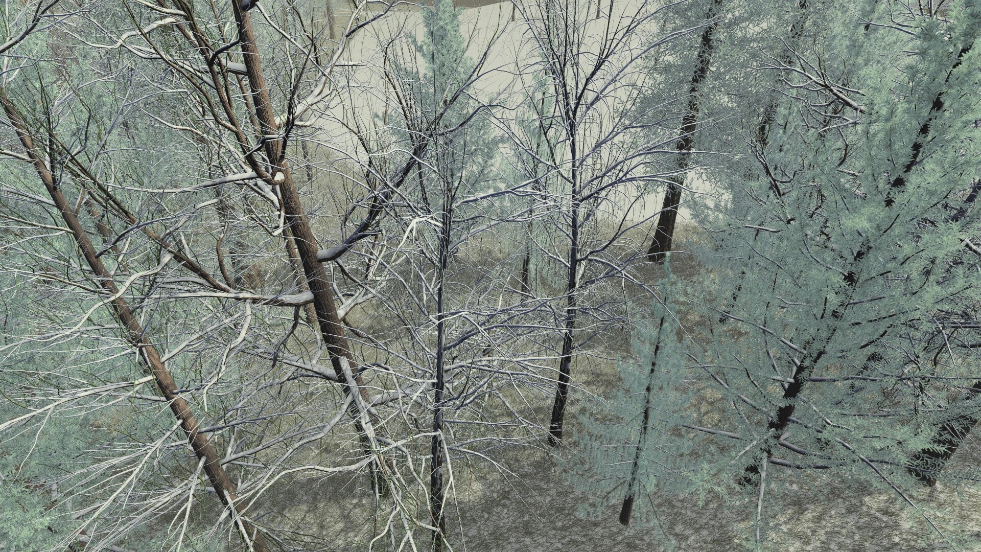 Benchmarkszene im Winter.
