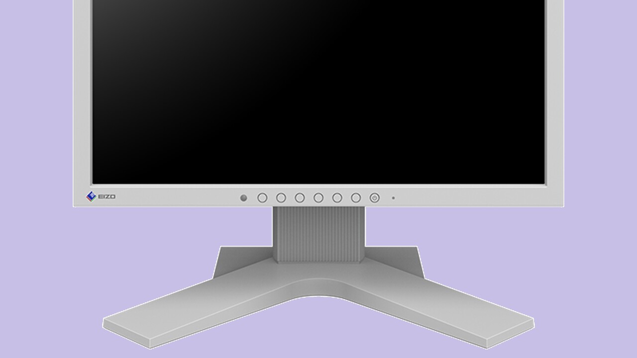 Monitor wie vor 20 Jahren: Eizo FlexScan S1734 mit 17 Zoll, SXGA und D-Sub