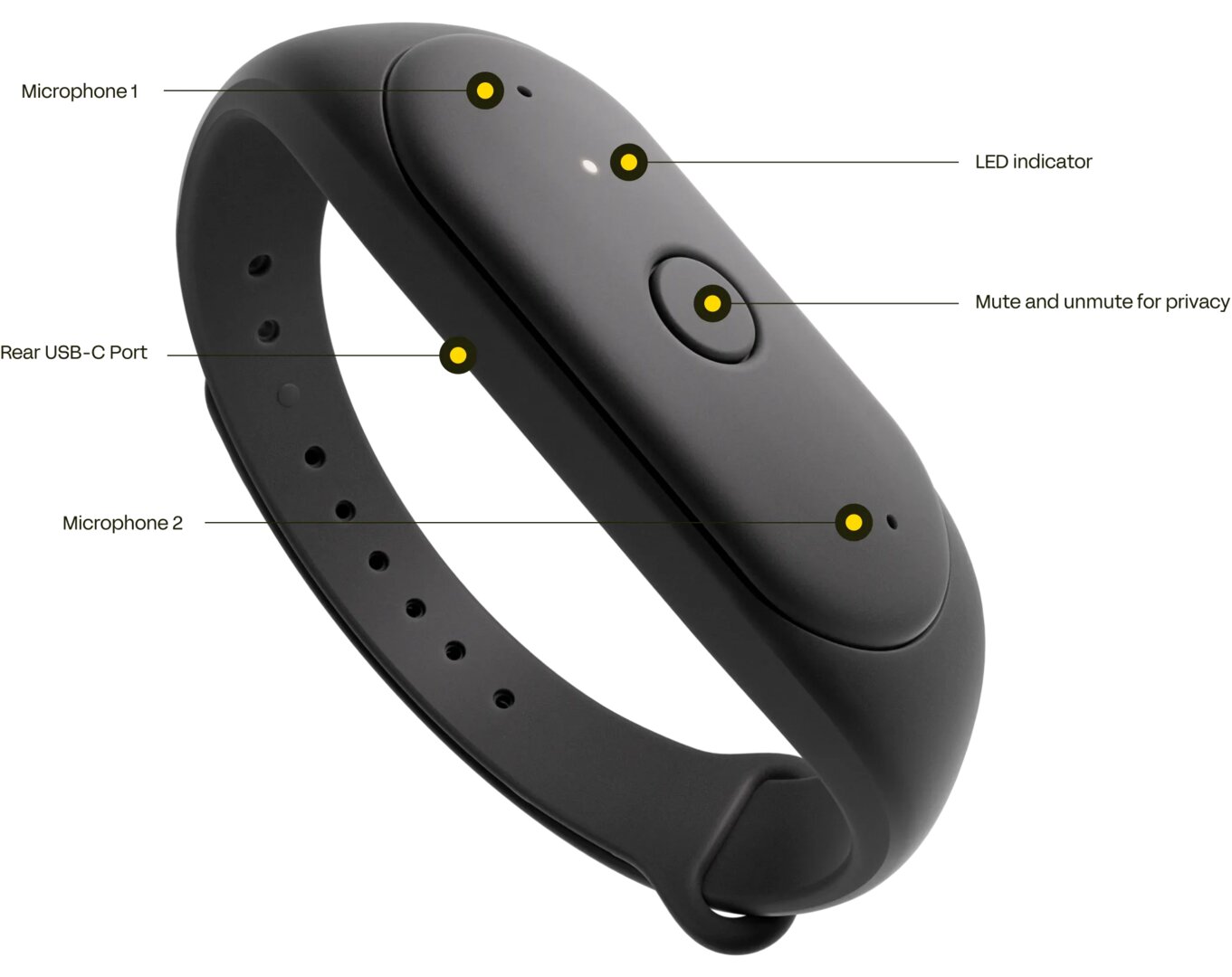 Das KI-Gadget Bee