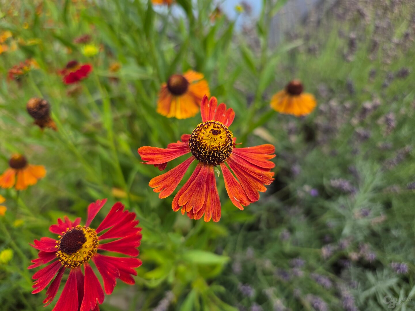 Galaxy Z Fold 7 (f/1.7, ISO 80, 1/3372 s)