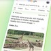 Canvas und Google Lens: Google erweitert den AI-Mode in der Suche um Dokumente