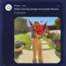 Gemini for Home: Google bringt generative AI ins Smart Home