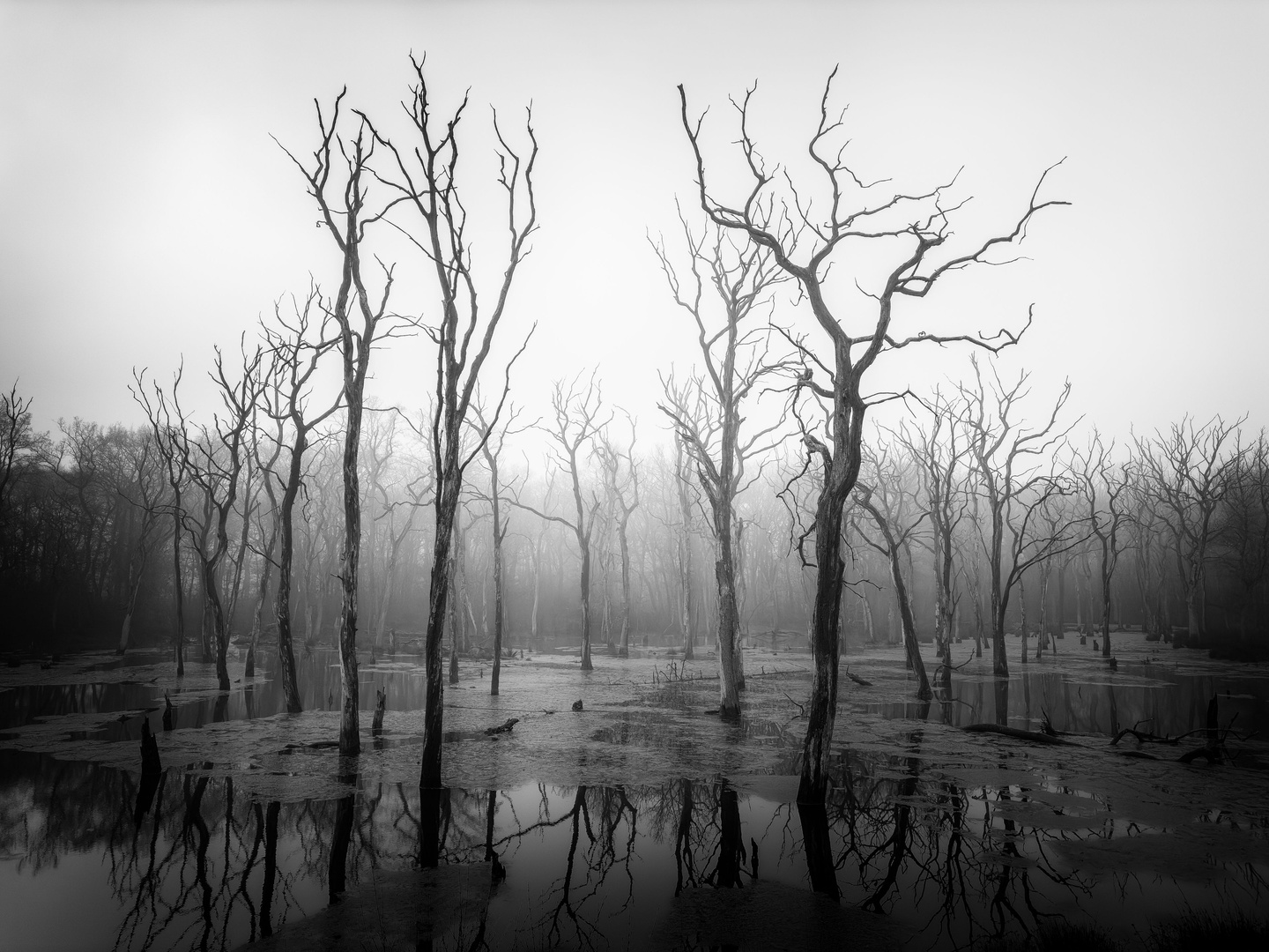 Sieger-Aufnahme im Oktober 2025