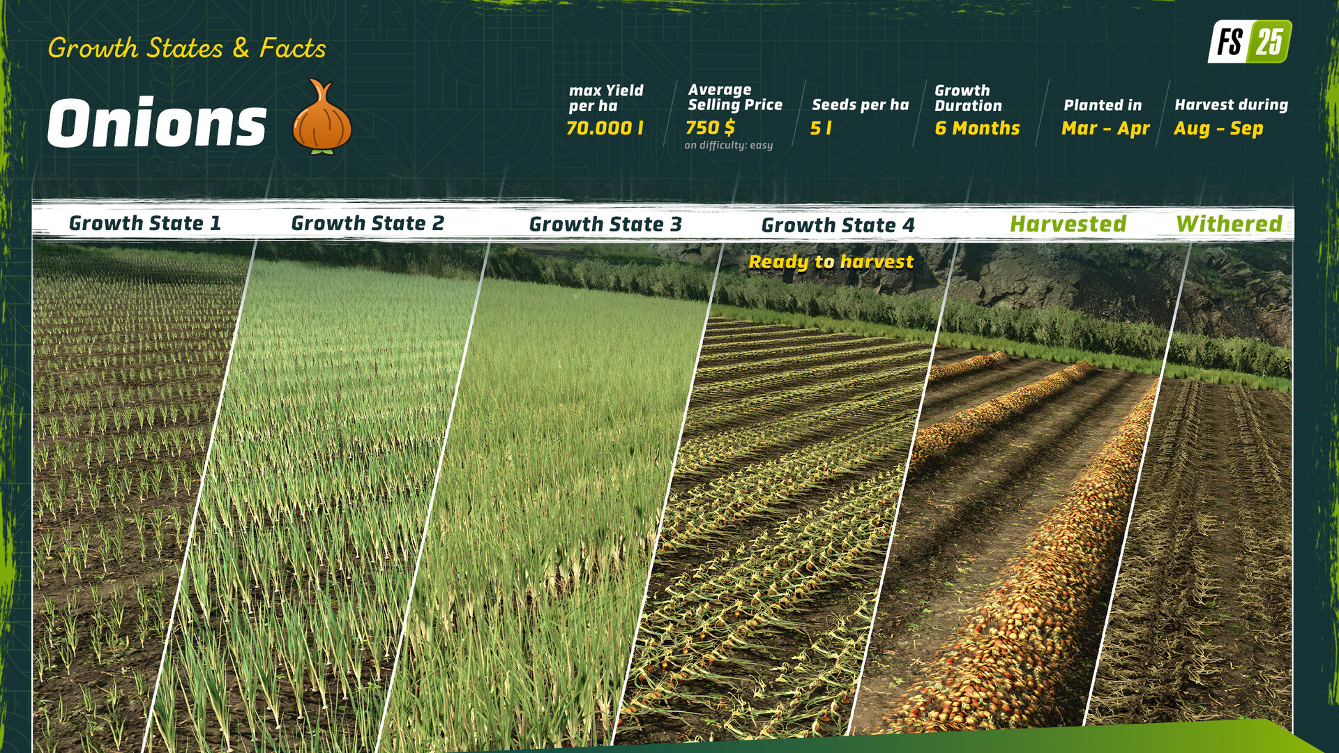 Landwirtschafts-Simulator 25 – Highlands Fishing – Zwiebeln