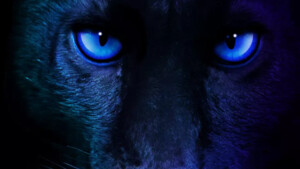 Globaler Launch: Intel Panther Lake alias Core Ultra 300 kommt zur CES 2026