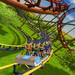 RollerCoaster-Tycoon-Bundle: Wer hat noch nicht, wer will noch mal?