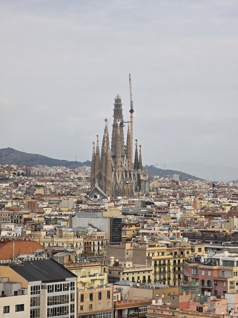 Galaxy S26 Ultra – 115-mm-Tele (f/2.9, ISO 50, 1/457 s)