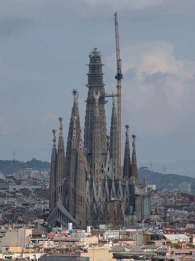 Galaxy S26 Ultra – 115-mm-Tele (f/2.9, ISO 25, 1/1250 s)