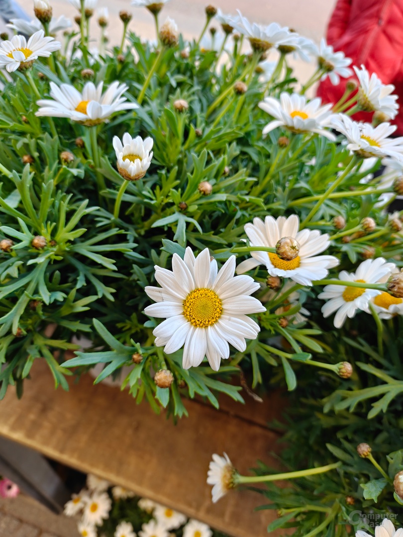 Find N6 – Weitwinkel (f/1.8, ISO 400, 1/100 s)