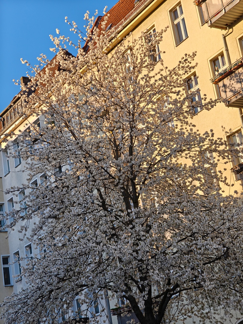 Find N6 – Teleobjektiv (f/2.7, ISO 100, 1/104 s)