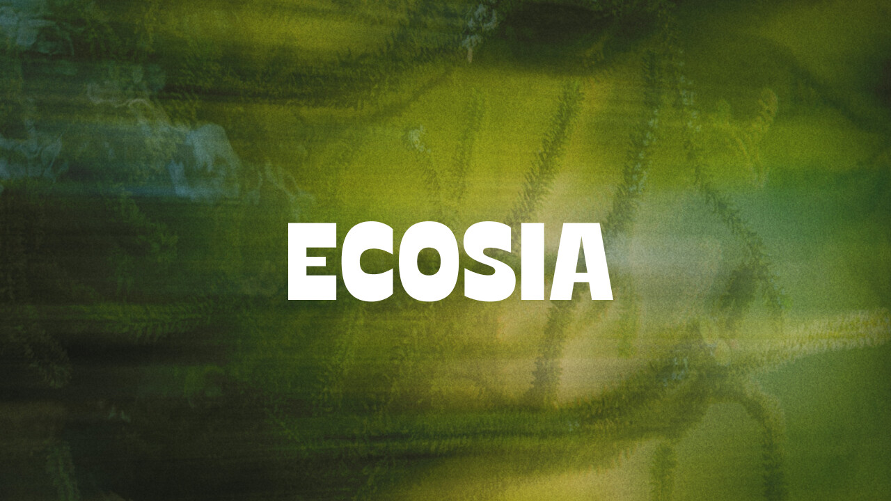 Grüne Suchmaschine: Ecosia hat 250 Millionen Baumpflanzungen gefördert