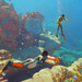 Genaue Systemanforderungen: Subnautica 2 startet Mitte Mai auf starken Prozessoren