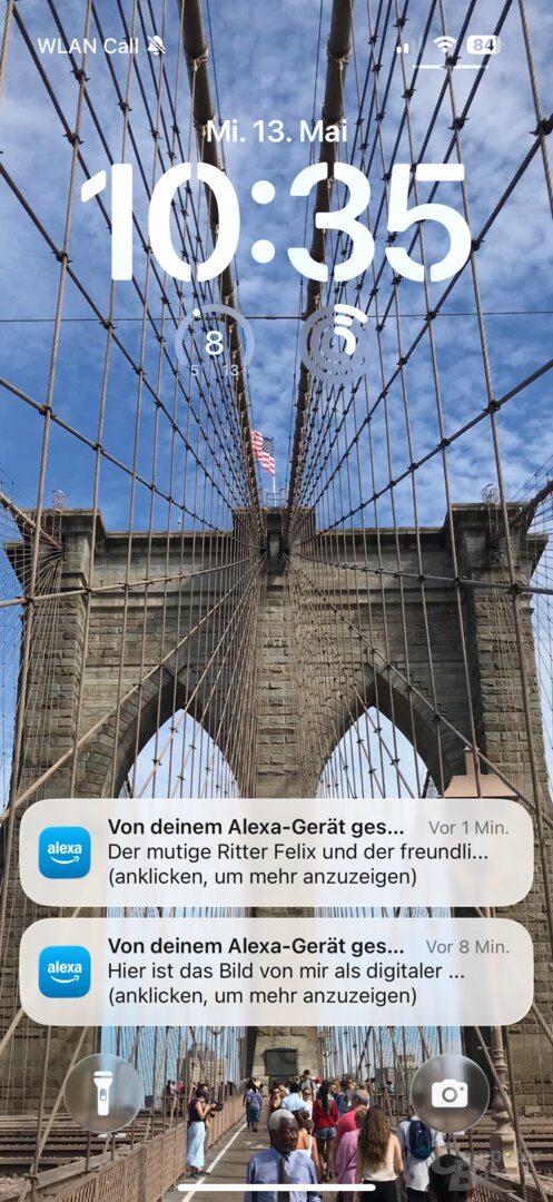 Alexa schickt Inhalte ans Smartphone, zeigt sie dort aber nur im Chatverlauf