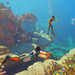 Subnautica 2 & Roadmap: In der Tiefsee liegt für Millionen Spieler ein Schatz