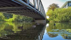 Aus der Community: „Spiegelungen“ – die neue Foto-Challenge lädt ein