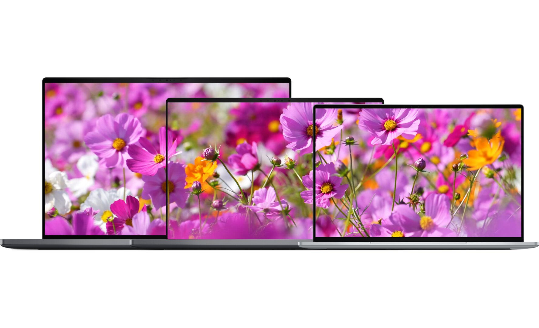 Dell XPS 16, XPS 14, XPS 13