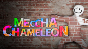 Über 100.000 Mitglieder betroffen: Cyber-Angriff auf Discord-Ser­ver von Meccha Chame­leon