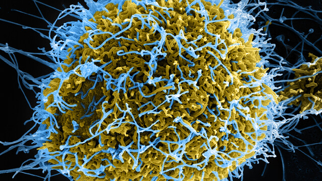 Verseuchte Treiber: Geekom zeigt sich nach Malware-Vorfall reumütig