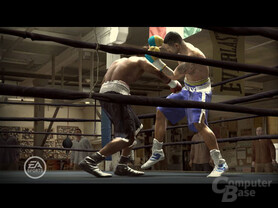 Fight Night Round 3 auf Xbox 360