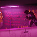 Sci-Fi-Exposure: Humble bündelt Marathon, Crysis und Ghostrunnner