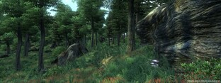 Oblivion wald mit stein