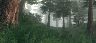 The Elder Scrolls 4: Oblivion
