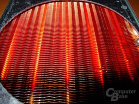 Zern - Radiator - 6