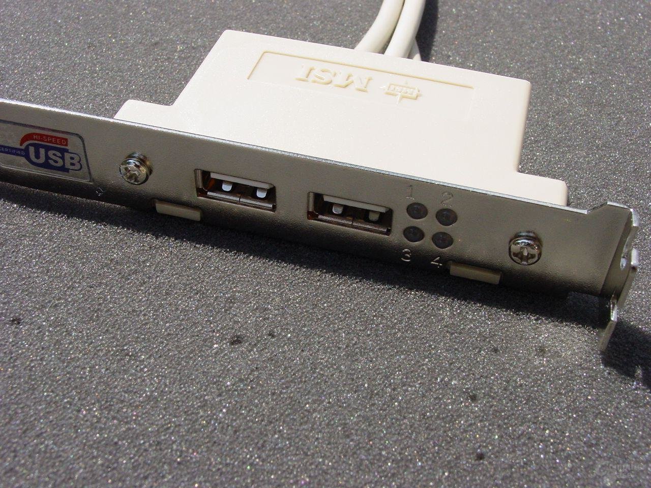 MSI 865PE Neo2-FIS2R USB-Slotblende