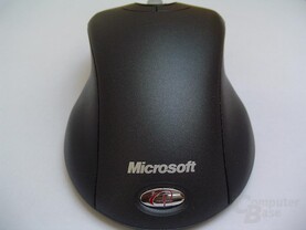 Maus von hinten