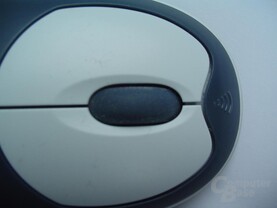 Maustasten und Mausrad von Logitech