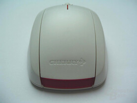 Rückansicht der Cherry Maus