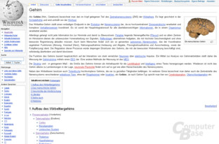 Inhaltsvergleich ("Gehirn"): Wikipedia