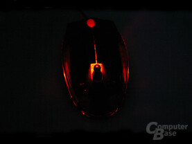 Razer Viper im Dunkeln