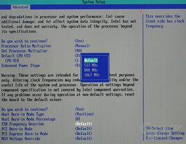 Bios - FSB Override