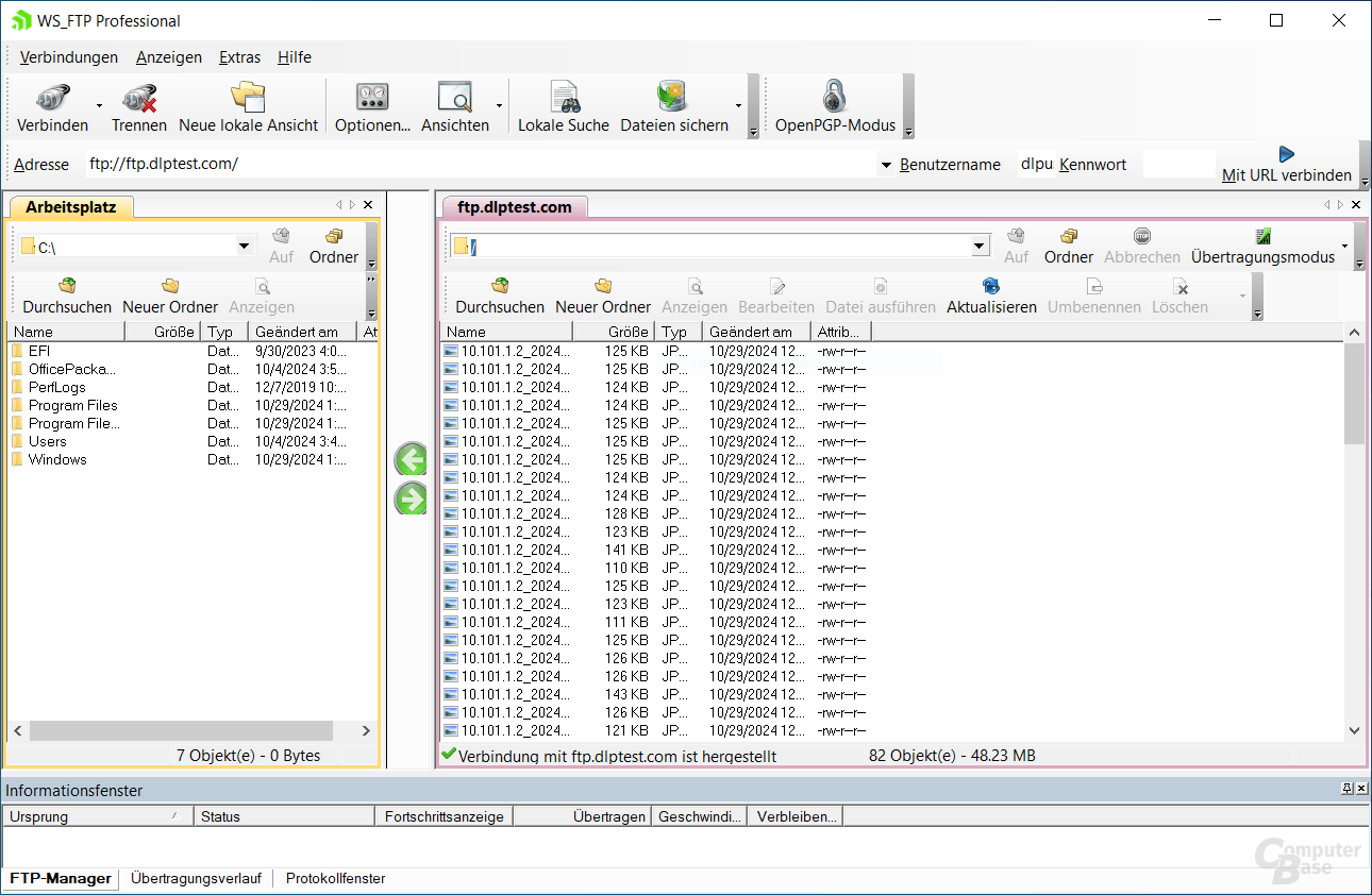 WS_FTP Professional – Oberfläche