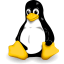 Linux Kernel