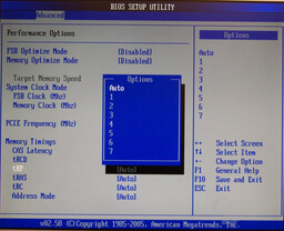 BIOS 010